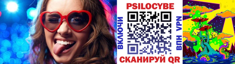 купить наркоту Высоцк кракен как войти Галлюциногенные грибы прущие грибы